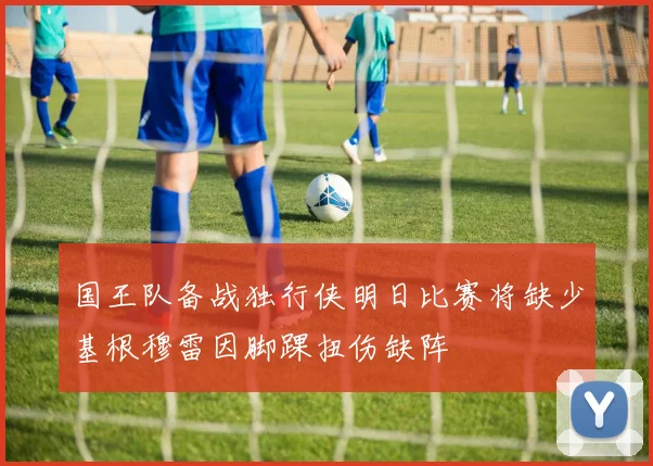 国王队备战独行侠明日比赛将缺少基根穆雷因脚踝扭伤缺阵