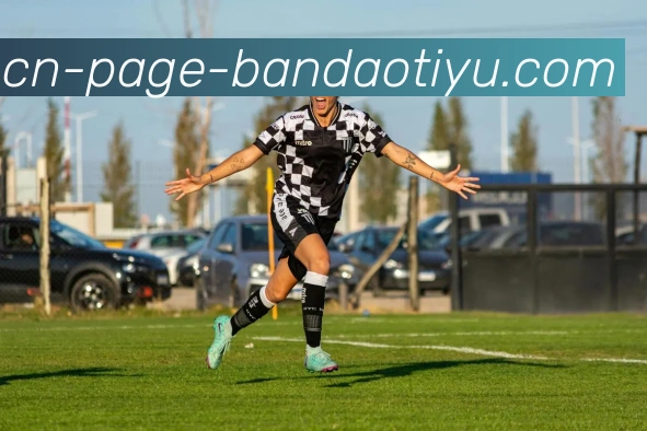 半岛体育发展历程